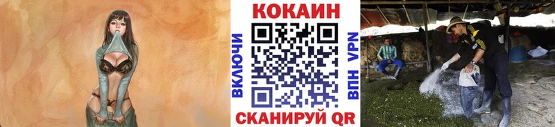 МАРИХУАНА Знаменск