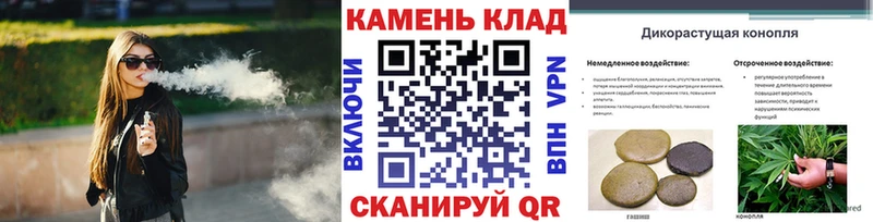 Купить закладки  Знаменск  ГАШИШ хэш 