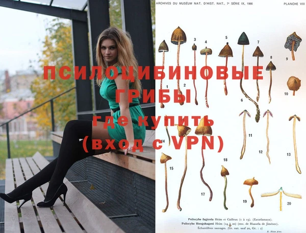 МДПВ Горняк